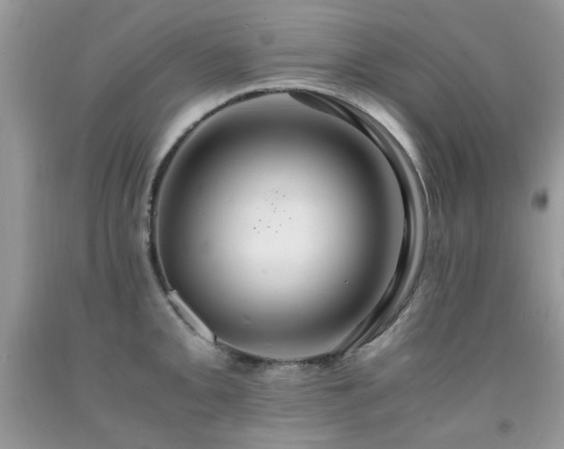 X0000091981093200709061349