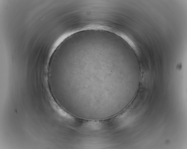 X0000091981094200709061349
