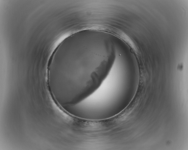 X0000091981095200709061349
