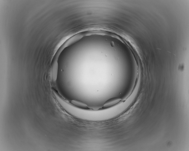 X0000091981097200709061349