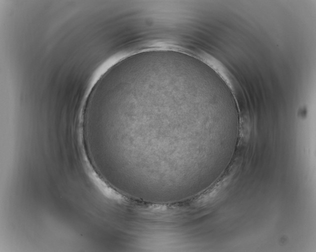 X0000091981098200709061349