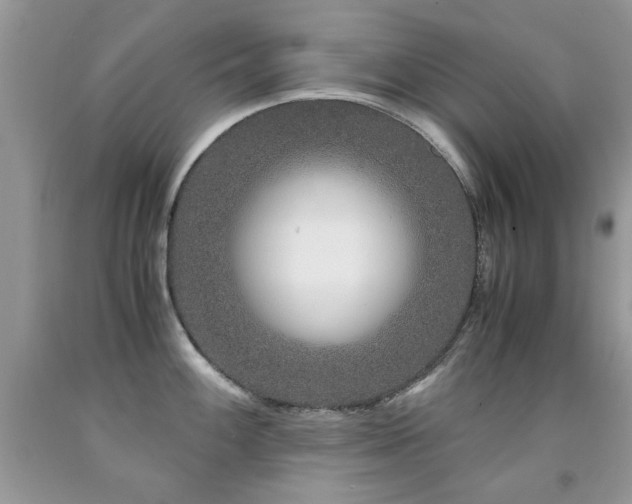 X0000091981100200709061349