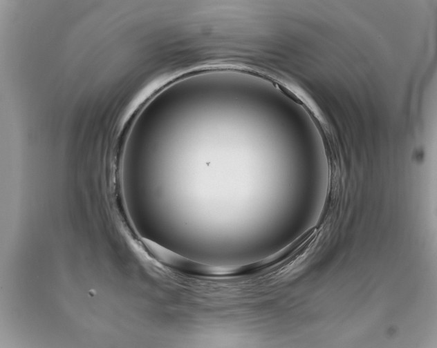 X0000091981101200709061349
