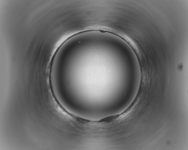X0000091981102200709061349