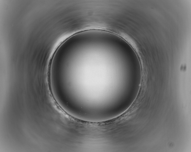 X0000091981104200709061348