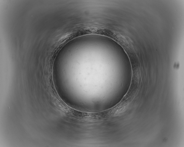 X0000091981105200709061348