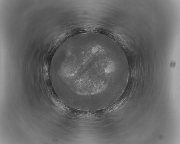 X0000091981106200709061348