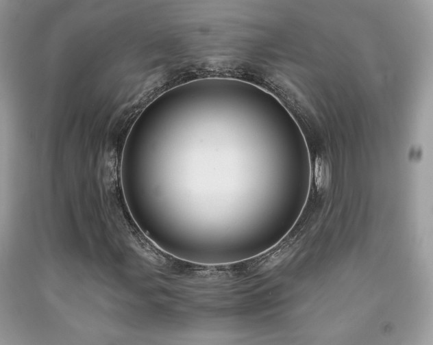 X0000091981107200709061348