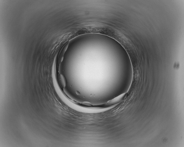 X0000091981108200709061348