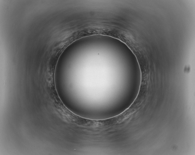 X0000091981109200709061348