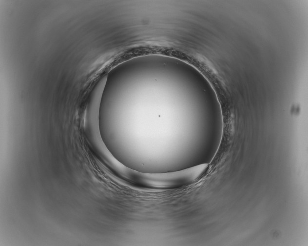 X0000091981110200709061348