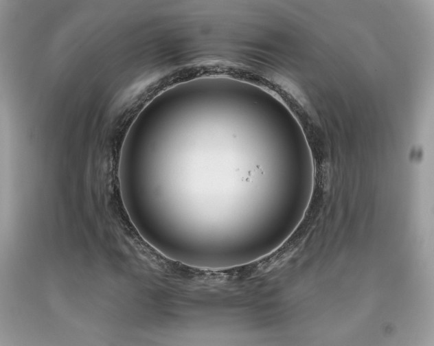 X0000091981111200709061348