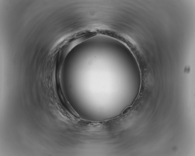 X0000091981112200709061348