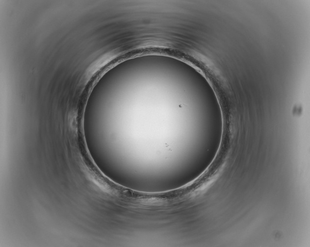 X0000091981113200709061348