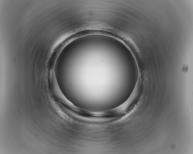 X0000091981114200709061348