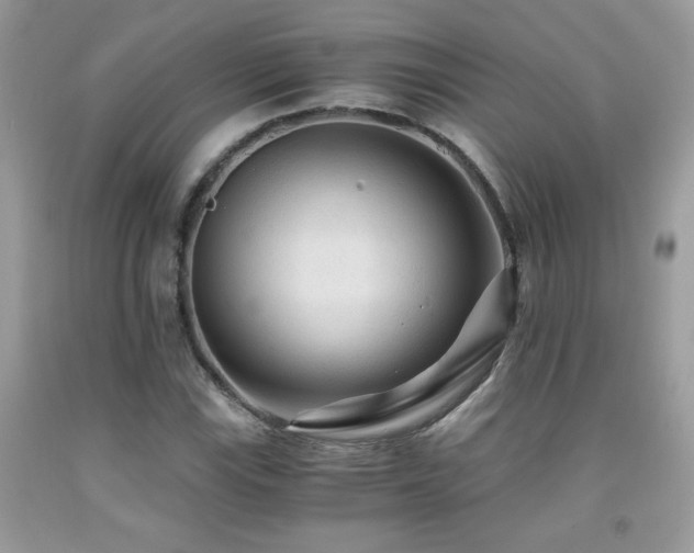 X0000091981115200709061348