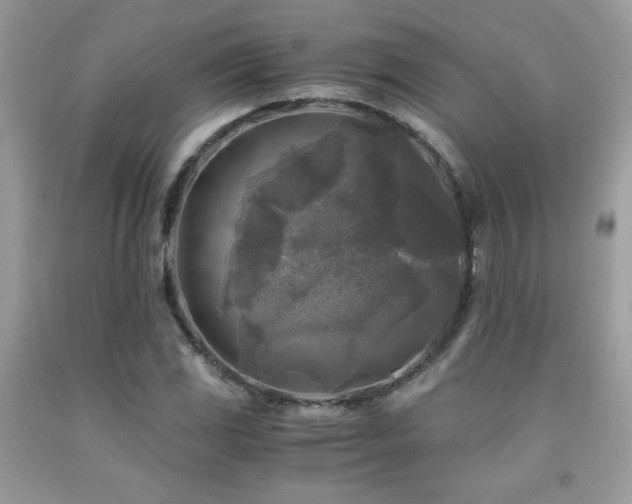 X0000091981117200709061348