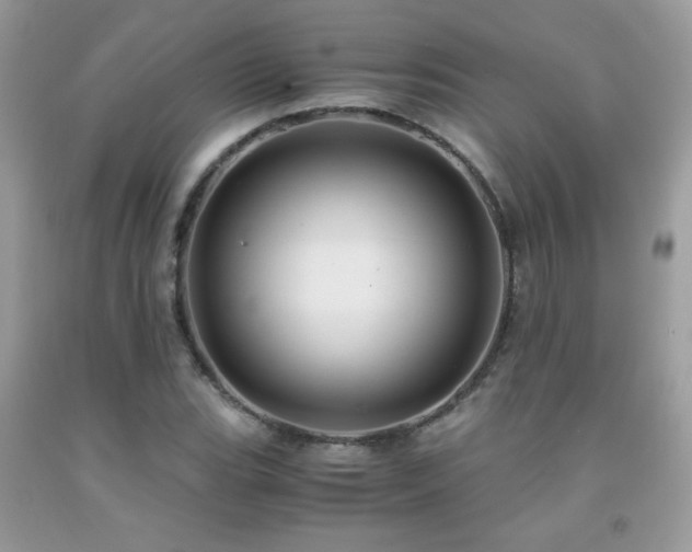 X0000091981119200709061348