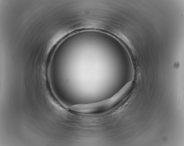 X0000091981120200709061348