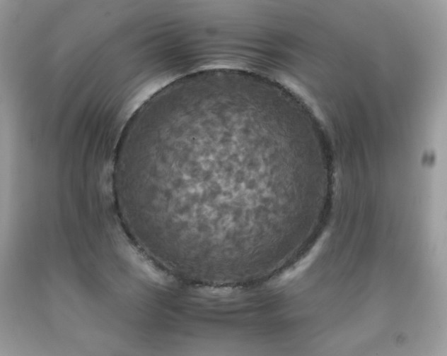 X0000091981121200709061348