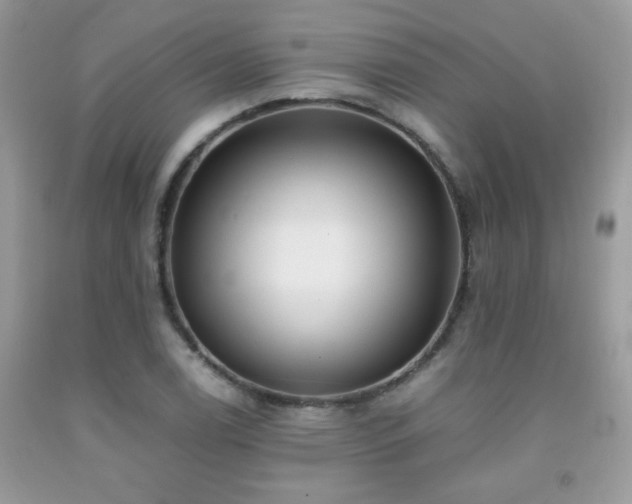 X0000091981122200709061348