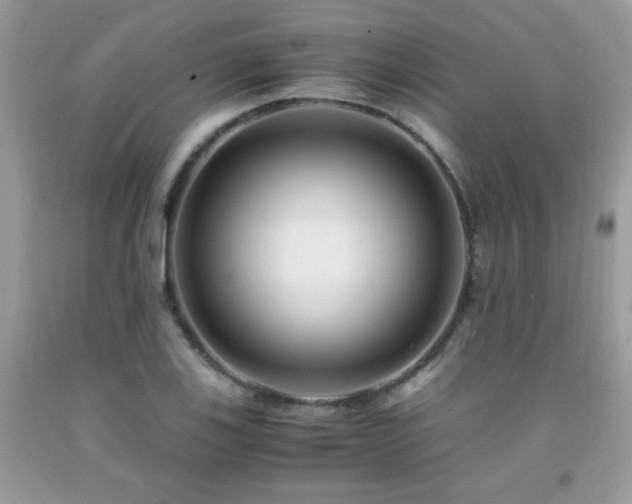 X0000091981123200709061348