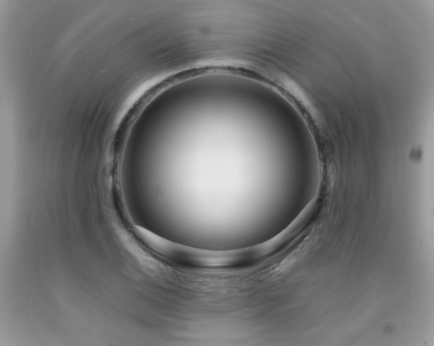 X0000091981124200709061348