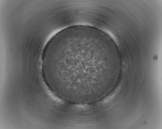 X0000091981125200709061348