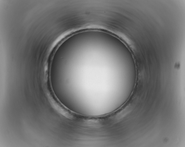 X0000091981126200709061348