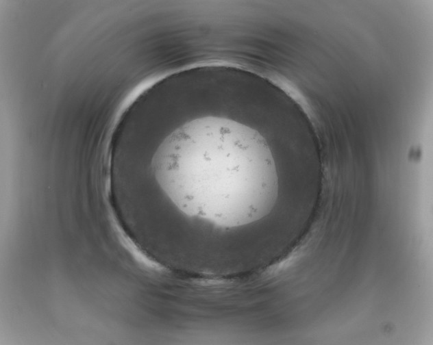 X0000091981127200709061348