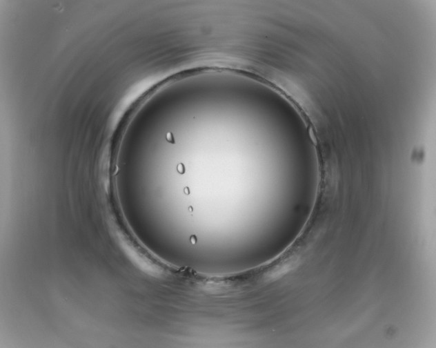 X0000091981128200709061348