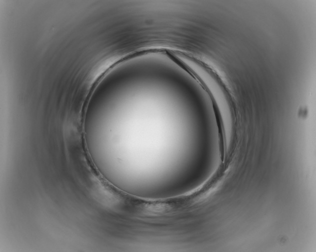 X0000091981129200709061348