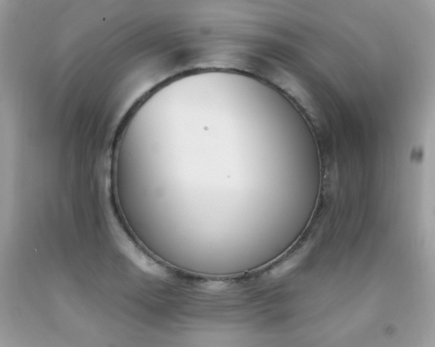 X0000091981130200709061348