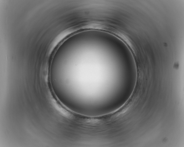 X0000091981131200709061348