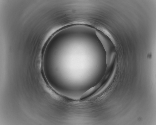 X0000091981132200709061348