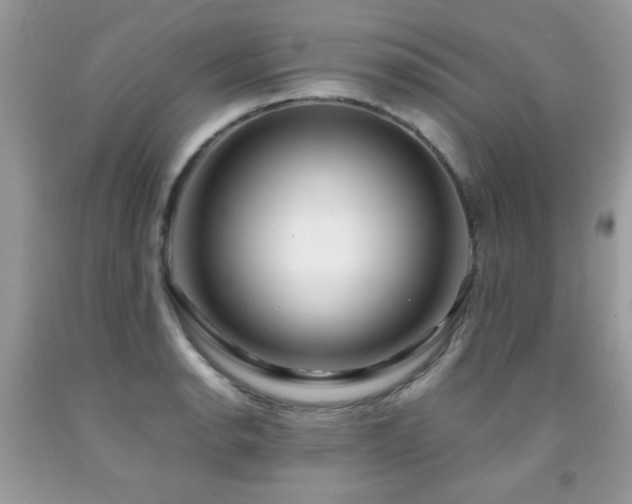 X0000091981134200709061348