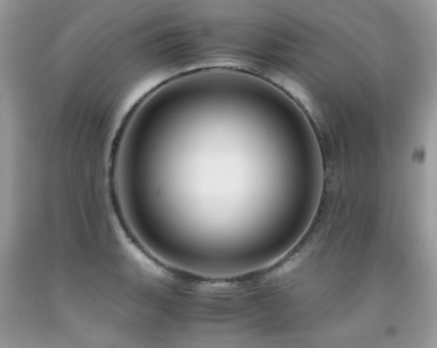 X0000091981135200709061348