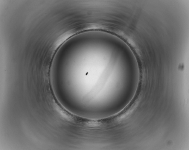 X0000091981137200709061348