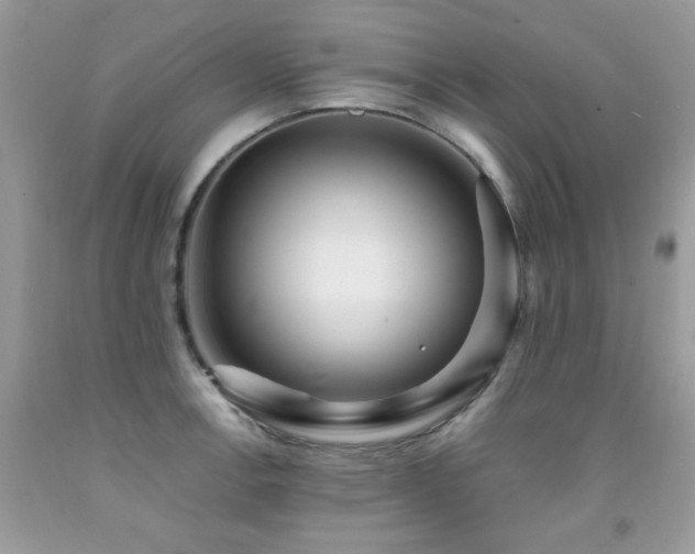 X0000091981138200709061348