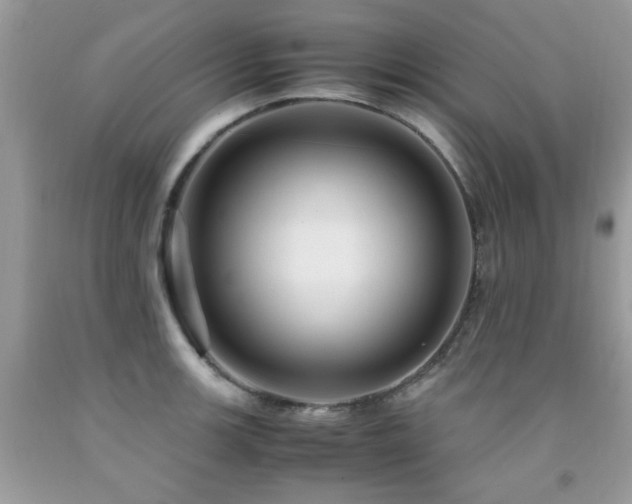 X0000091981139200709061348