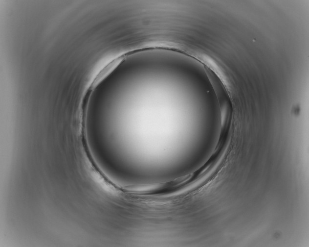 X0000091981140200709061348