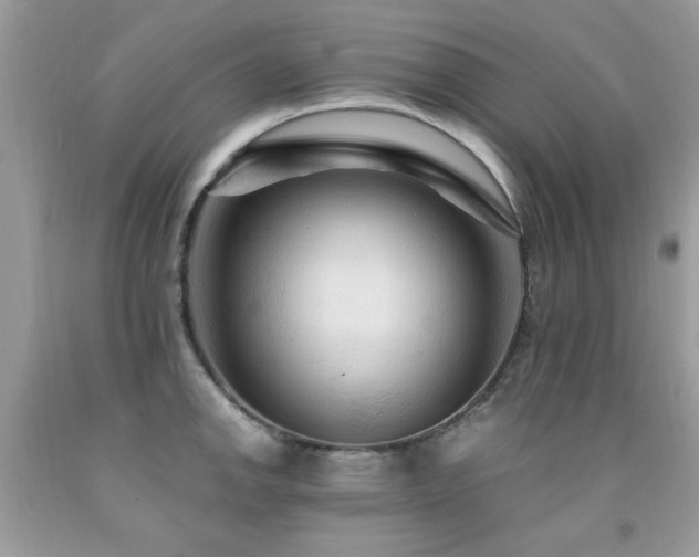 X0000091981142200709061348