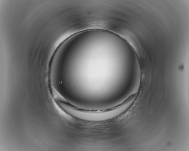 X0000091981143200709061348