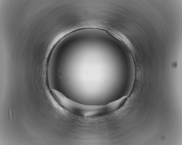 X0000091981144200709061348