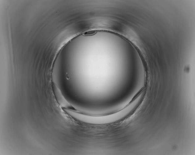 X0000091981145200709061348