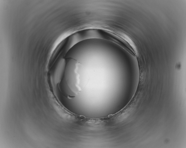 X0000091981146200709061348