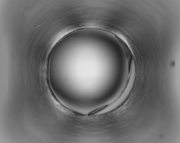 X0000091981147200709061348