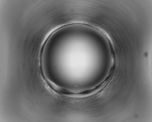 X0000091981148200709061348