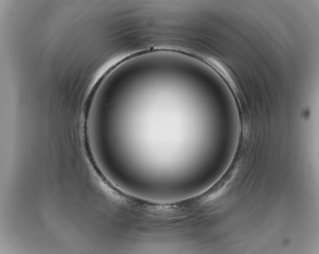 X0000091981149200709061348
