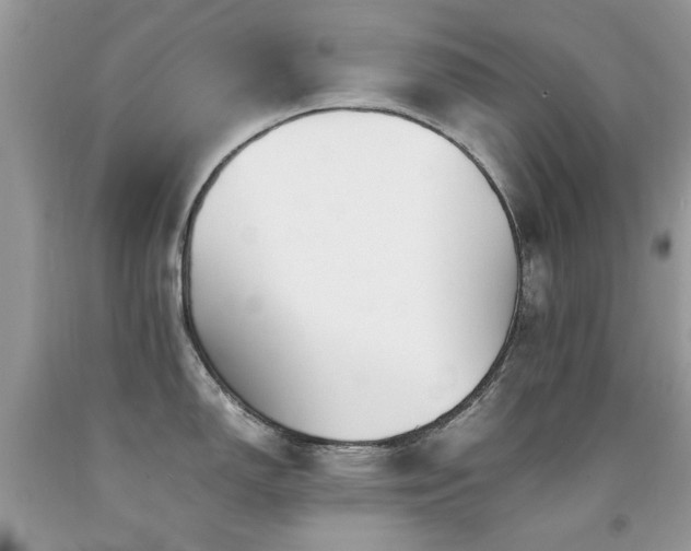 X0000091981150200709061348